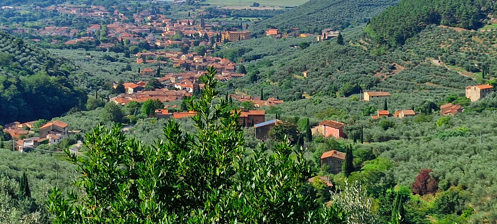 Come si sviluppa un'acquisizione immobiliare in Toscana: dalla ricerca dell'immobile alla Due Diligence