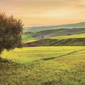 Colline