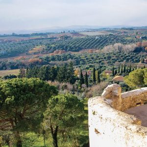 Maremma