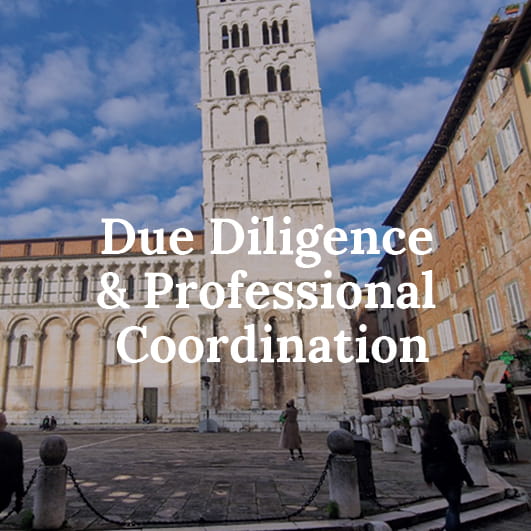 Due Diligence & Professional Coordination 