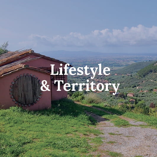 Lifestyle & Territory
